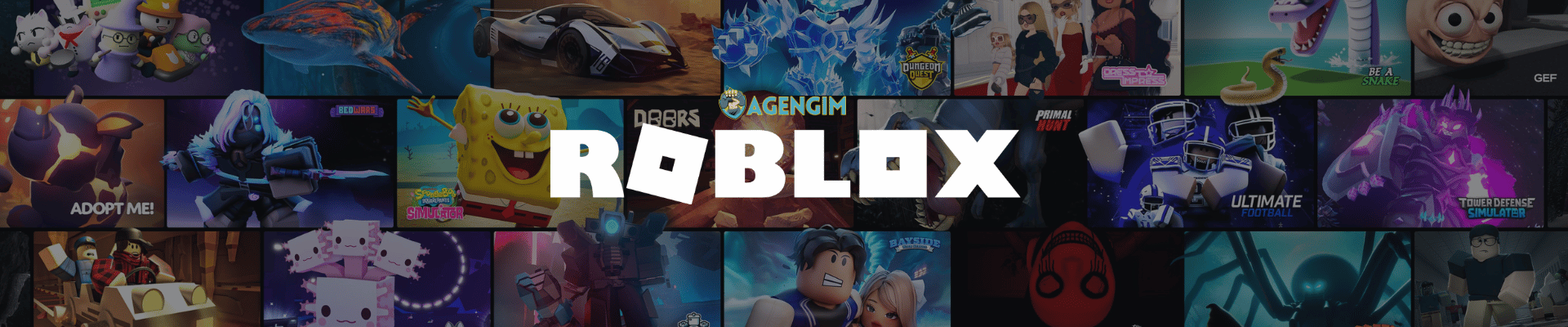 Roblox Via Login